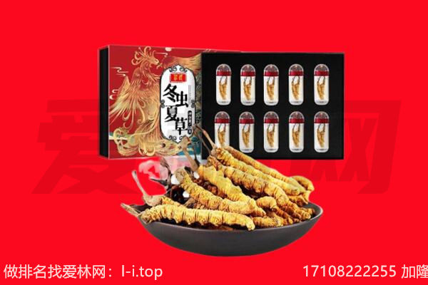 赫章县回收虫草.jpg